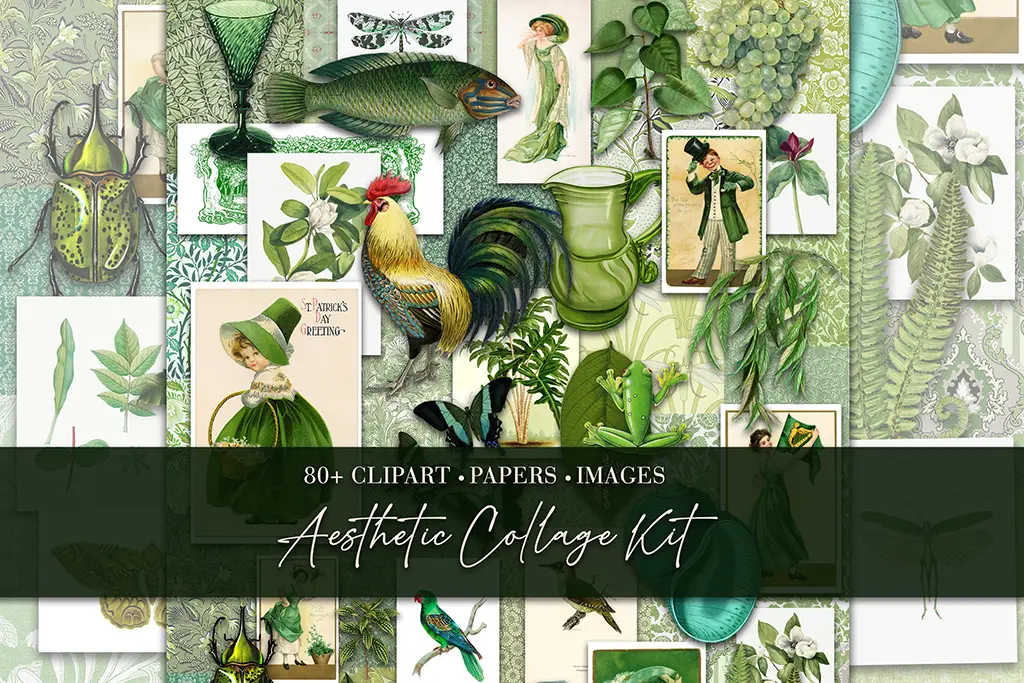 A collection of illustrations including plants, animals, and vintage figures arranged in a collage format.