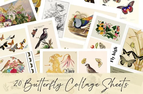 A collection of 20 beautifully illustrated vintage butterfly collage sheets. The images include vibrant butterflies, birds, flowers, and various intricate designs. The text "20 Butterfly Collage Sheets" is displayed at the bottom.