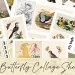 A collection of 20 beautifully illustrated vintage butterfly collage sheets. The images include vibrant butterflies, birds, flowers, and various intricate designs. The text "20 Butterfly Collage Sheets" is displayed at the bottom.