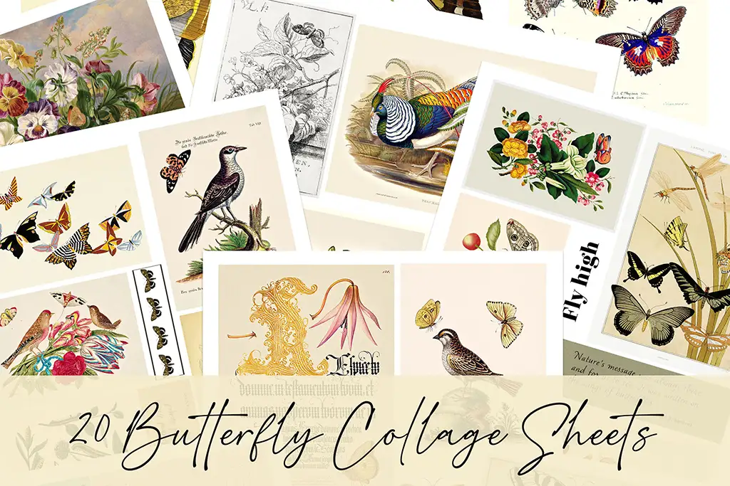 A collection of 20 beautifully illustrated vintage butterfly collage sheets. The images include vibrant butterflies, birds, flowers, and various intricate designs. The text "20 Butterfly Collage Sheets" is displayed at the bottom.