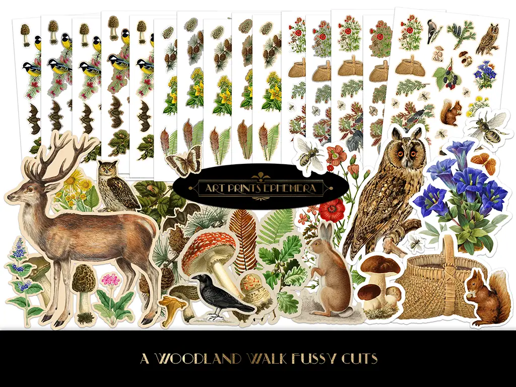 A collection of nature-themed fussy cuts featuring various woodland elements such as deer, owls, mushrooms, flowers, leaves, acorns, butterflies, and a basket. The assortment is arranged in rows against a white background with a label reading "A Woodland Walk Fussy Cuts.