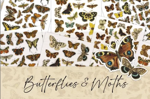 A collage of various species of butterflies and moths displayed on white collage sheets with the text "Butterflies & Moths" at the center. The insects are shown in a range of colors and sizes.