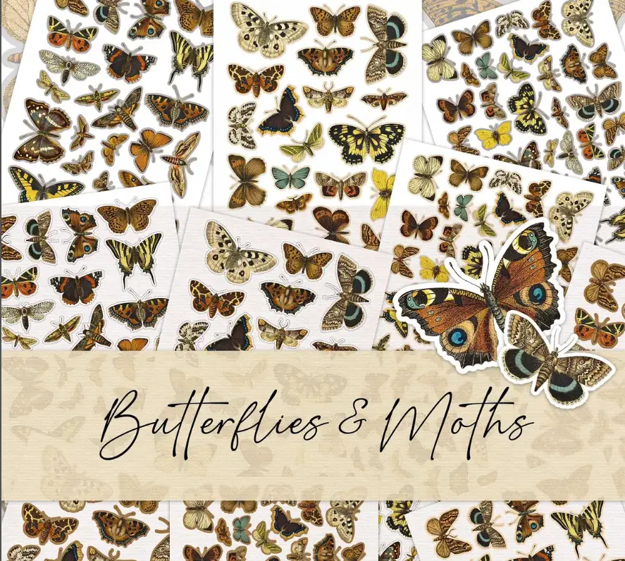 A collage of various species of butterflies and moths displayed on white collage sheets with the text "Butterflies & Moths" at the center. The insects are shown in a range of colors and sizes.