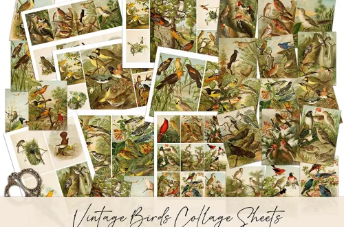 A collection of vintage-style collage sheets shows various colorful birds in nature settings. The sheets, labeled "Vintage Birds No1 Collage Sheets," are scattered across a surface, with a pair of crafting scissors visible at the bottom left corner.