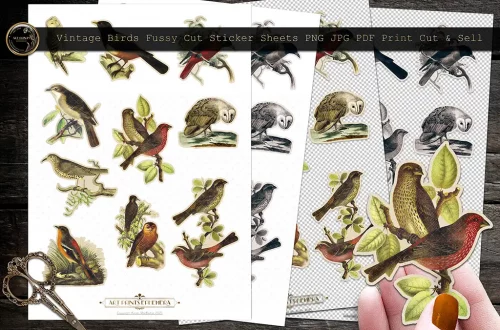 Three sheets of vintage bird stickers are displayed alongside a pair of scissors and a hand holding one cut-out sticker. Various bird species are depicted in detailed, colorful designs. The heading reads "Vintage Birds Fussy Cut Sticker Sheets PNG JPG PDF Print Cut & Sell.