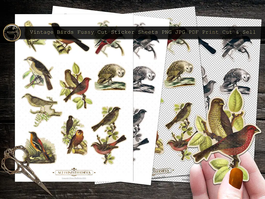 Three sheets of vintage bird stickers are displayed alongside a pair of scissors and a hand holding one cut-out sticker. Various bird species are depicted in detailed, colorful designs. The heading reads "Vintage Birds Fussy Cut Sticker Sheets PNG JPG PDF Print Cut & Sell.