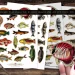 A collection of vintage fish fussy cut sticker sheets is shown, featuring various colorful fish designs. The sheets are displayed on a wooden surface with a pair of scissors nearby. One hand is holding a cut-out fish sticker in the foreground.