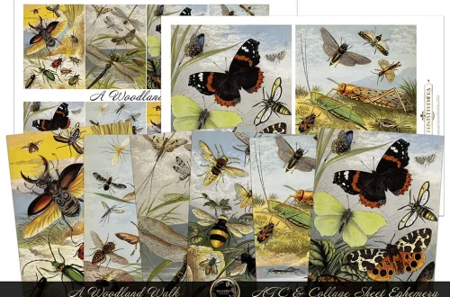 A collection of vintage illustrated collage sheets featuring various woodland insects, including butterflies, beetles, and dragonflies. The ephemera illustrations are colorful, detailed, and set against a natural background with some text saying "A Woodland Walk.