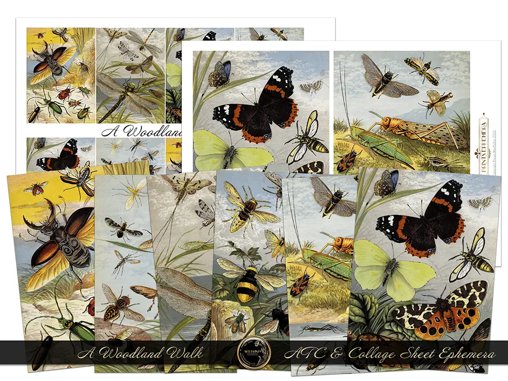 A collection of vintage illustrated collage sheets featuring various woodland insects, including butterflies, beetles, and dragonflies. The ephemera illustrations are colorful, detailed, and set against a natural background with some text saying "A Woodland Walk.