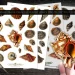 Three sheets of vintage shell stickers are pictured on a wooden surface. A pair of scissors lies nearby. One sheet is being held up to display an ornate orange shell sticker. The sheets are labeled "Vintage Shells Fussy Cut Sticker Sheets PNG JPG PDF Print Cut & Sell.