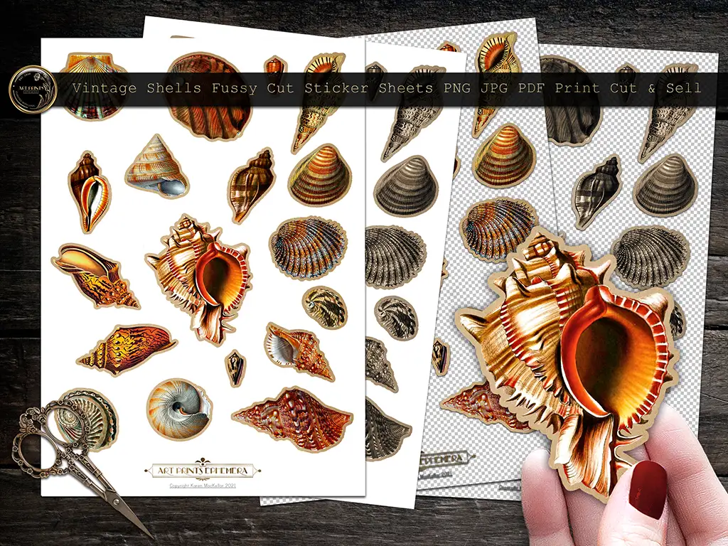 Three sheets of vintage shell stickers are pictured on a wooden surface. A pair of scissors lies nearby. One sheet is being held up to display an ornate orange shell sticker. The sheets are labeled "Vintage Shells Fussy Cut Sticker Sheets PNG JPG PDF Print Cut & Sell.
