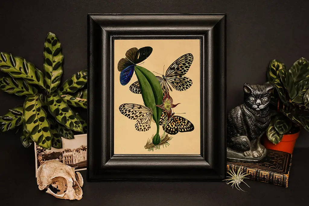 A framed botanical illustration featuring vibrant leaves and butterflies is displayed against a dark background. The setup includes decorative plants, a small silver cat figurine, an animal skull, and sepia-toned photographs.