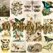A collage of colorful butterfly illustrations and botanical drawings. The center of the image features the text "100 Butterfly Images" in a large, decorative font. The illustrations display various species of butterflies and flowers in diverse styles and colors.