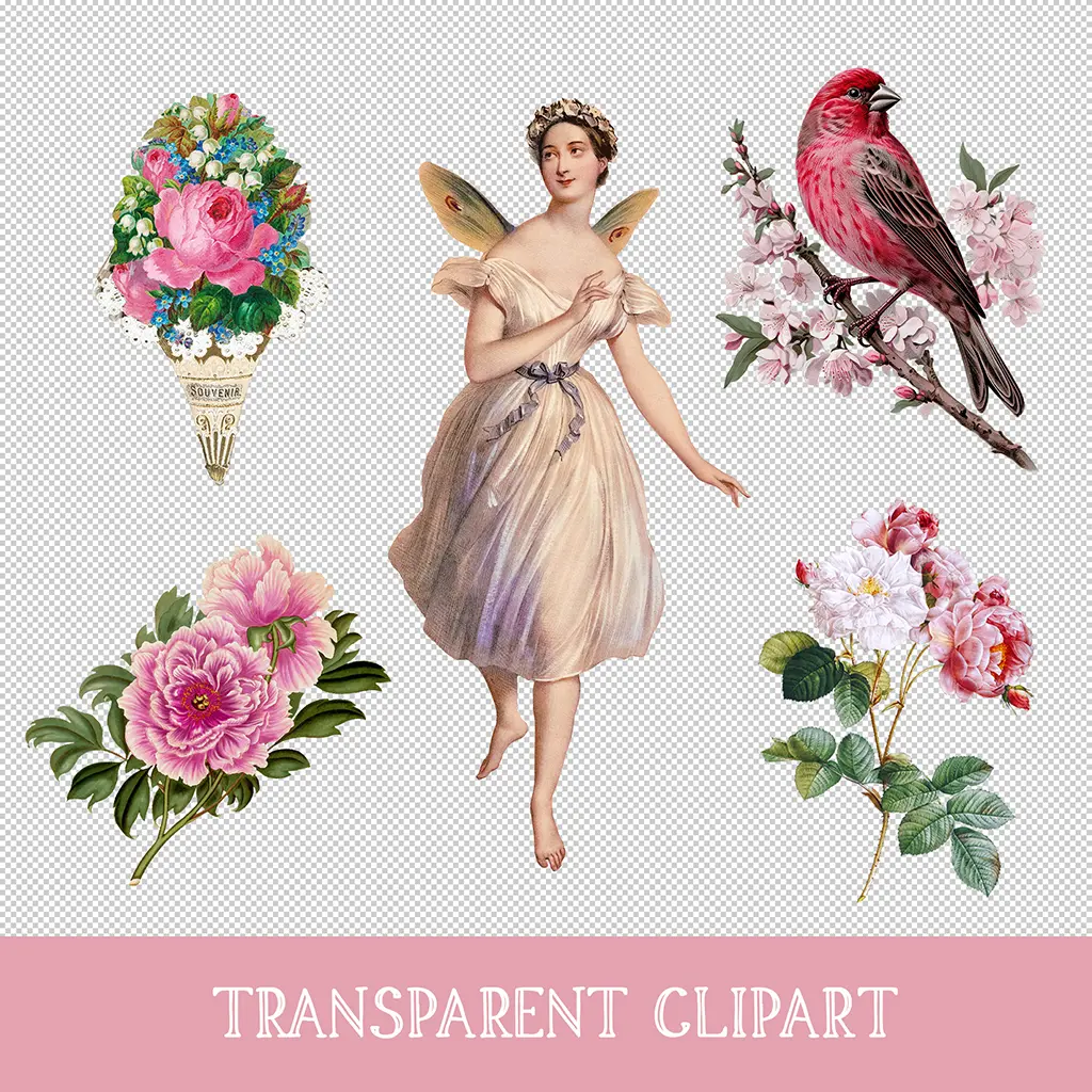 A collection of transparent clipart featuring a fairy-like woman with wings in a light dress, a pink and red bird on a flowering branch, and various floral arrangements with roses and peonies. The text "TRANSPARENT CLIPART" is at the bottom.