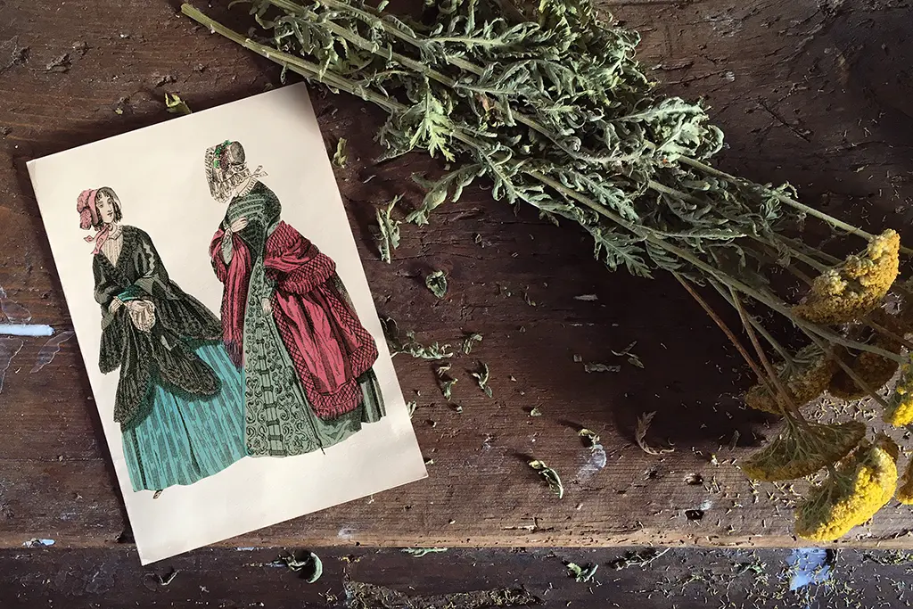 An old-fashioned illustration of two women in 19th-century attire is placed on a rustic wooden surface. The women are dressed in elaborate gowns, one with a green dress and the other with a red dress. Dried yellow flowers and greenery lie next to the illustration.