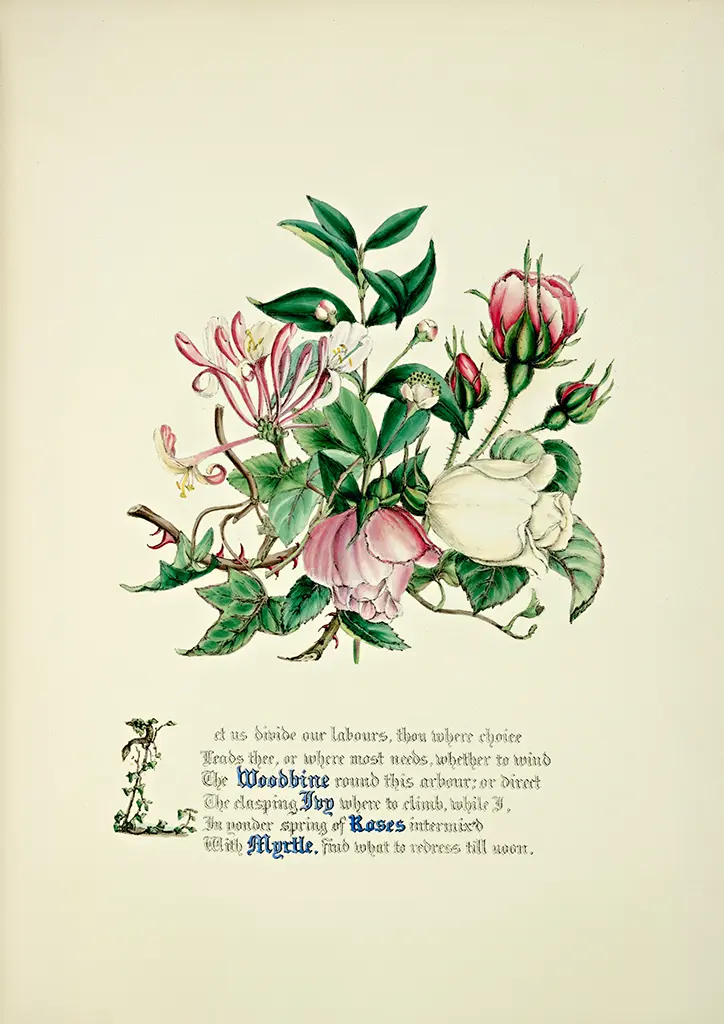 A botanical illustration featuring a mixed bouquet of flowers, including pink and white roses, honeysuckles, and other greenery. Below the bouquet, there is an ornate text passage describing the flowers and their beauty.