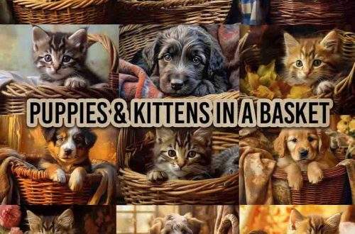 A collage of adorable puppies and kittens snuggled in baskets. Each square depicts a different puppy or kitten, with various fur colors and patterns, all looking sweet and cozy. The text "PUPPIES & KITTENS IN A BASKET" is overlaid in the center of the image.