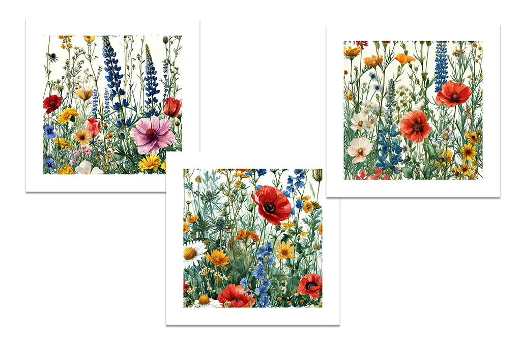 Three framed botanical illustrations feature vibrant wildflowers. Each is filled with a variety of blooms in shades of red, yellow, blue, and white, intricately detailed against a white background, evoking the beauty and diversity of a natural meadow.