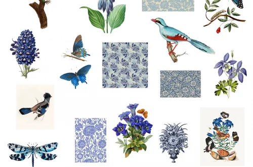 Illustration of various blue and teal birds, butterflies, and botanical elements arranged around patterned squares. Includes flowers, leaves, and text saying "Birds, Butterflies, and Botanicals" on a gray background at the bottom.