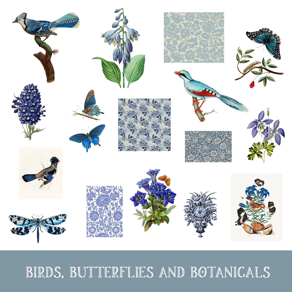 Illustration of various blue and teal birds, butterflies, and botanical elements arranged around patterned squares. Includes flowers, leaves, and text saying "Birds, Butterflies, and Botanicals" on a gray background at the bottom.