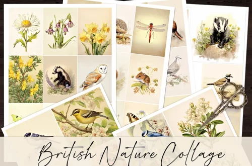 A collage showcasing British nature with illustrations of various animals, birds, and flowers, including a dragonfly, badger, owl, and daffodils. Vintage-style scissors rest on top of the papers. The text reads "British Nature Collage.