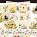 A collage showcasing British nature with illustrations of various animals, birds, and flowers, including a dragonfly, badger, owl, and daffodils. Vintage-style scissors rest on top of the papers. The text reads "British Nature Collage.
