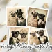 A collage of images features pugs dressed in vintage wedding attire. The dogs, appearing as couples, wear elegant gowns, top hats, and bow ties. The background includes flowers and ribbons, and a caption reads "Vintage Wedding Couple Pugs.
